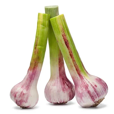 Agro Egypt (Ghallab) product image 10