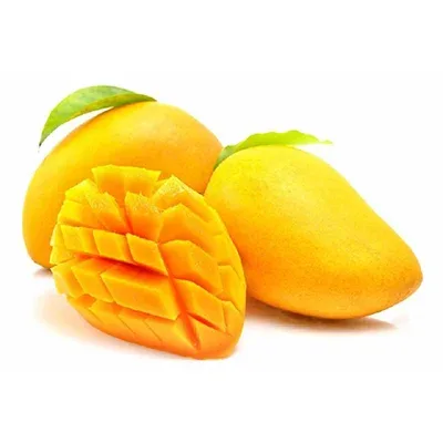 Agro Egypt (Ghallab) product image 8