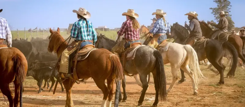 The Cowboy Legend product image 4