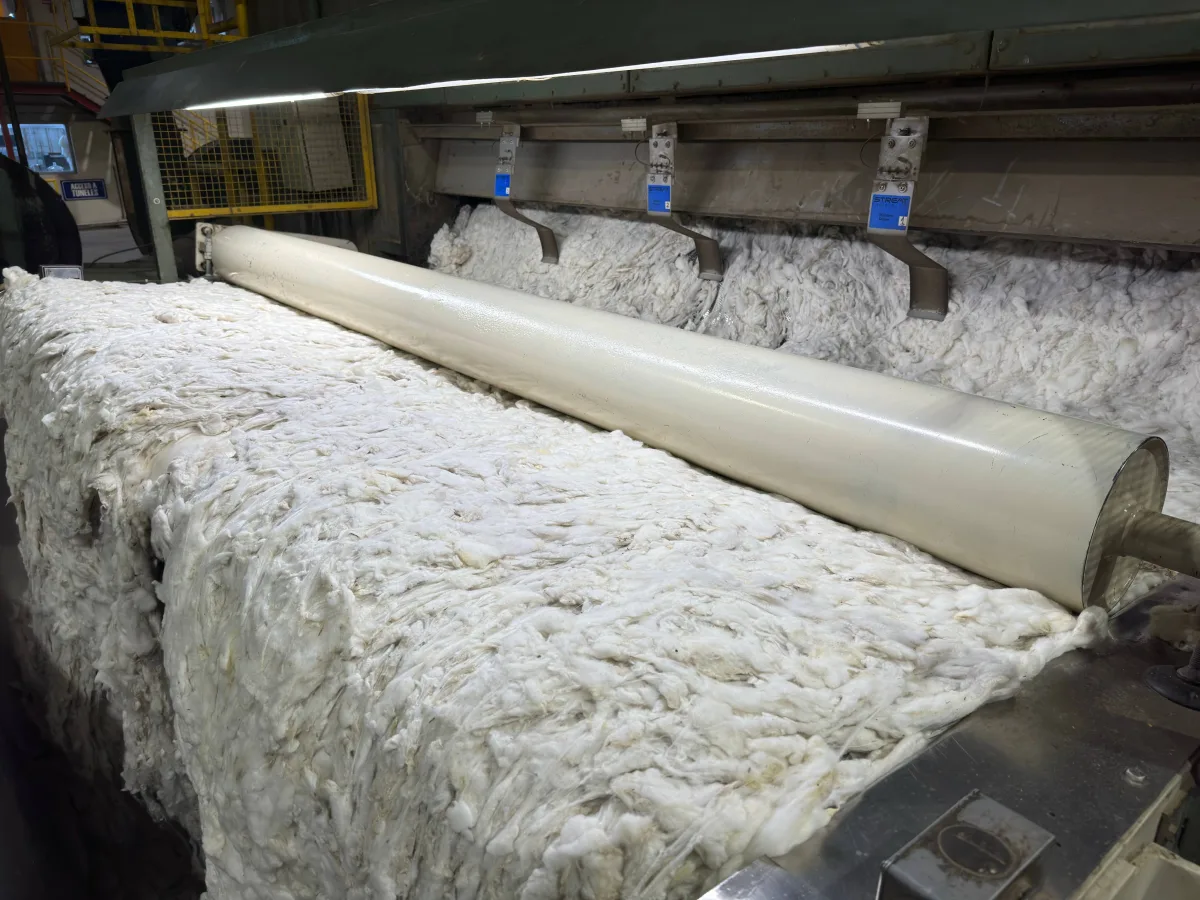 Lanas Trinidad
Scoured Wool, Combed Wool Tops, Wool Grease Textile Materials & Fibers — Lanas Trinidad