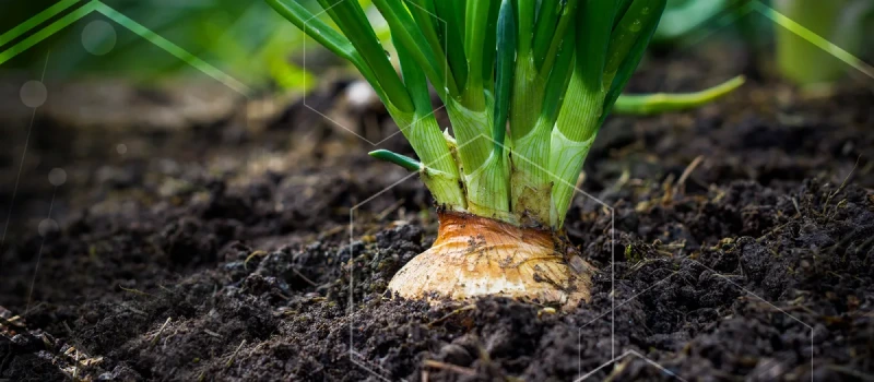 Sigma AgriScience