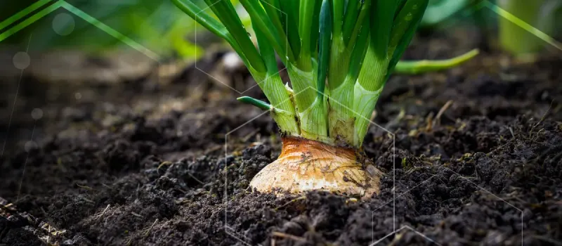 Sigma AgriScience product image 1