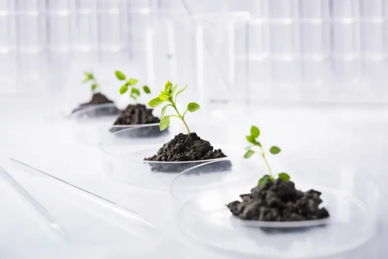 Bioceres Crop Solutions Corp.
Microbial Agricultural Inputs, Crop Nutrition and Protection Products, Drought Tolerant Seed Technologies