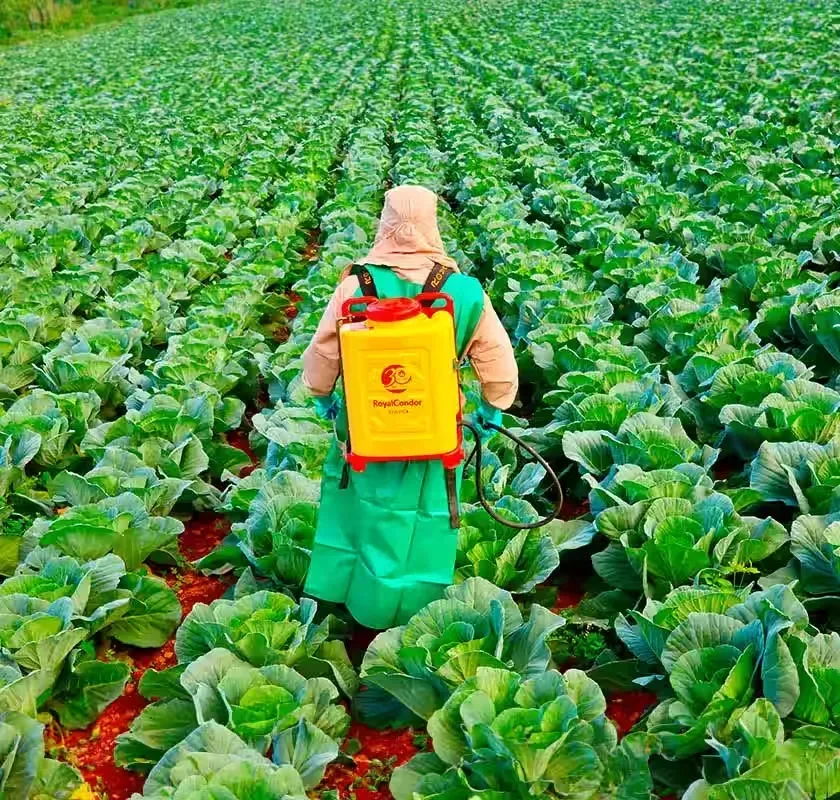 Fertilizantes Santo Domingo S.A.
Fertilizers, Agrochemicals, Flexible Packaging