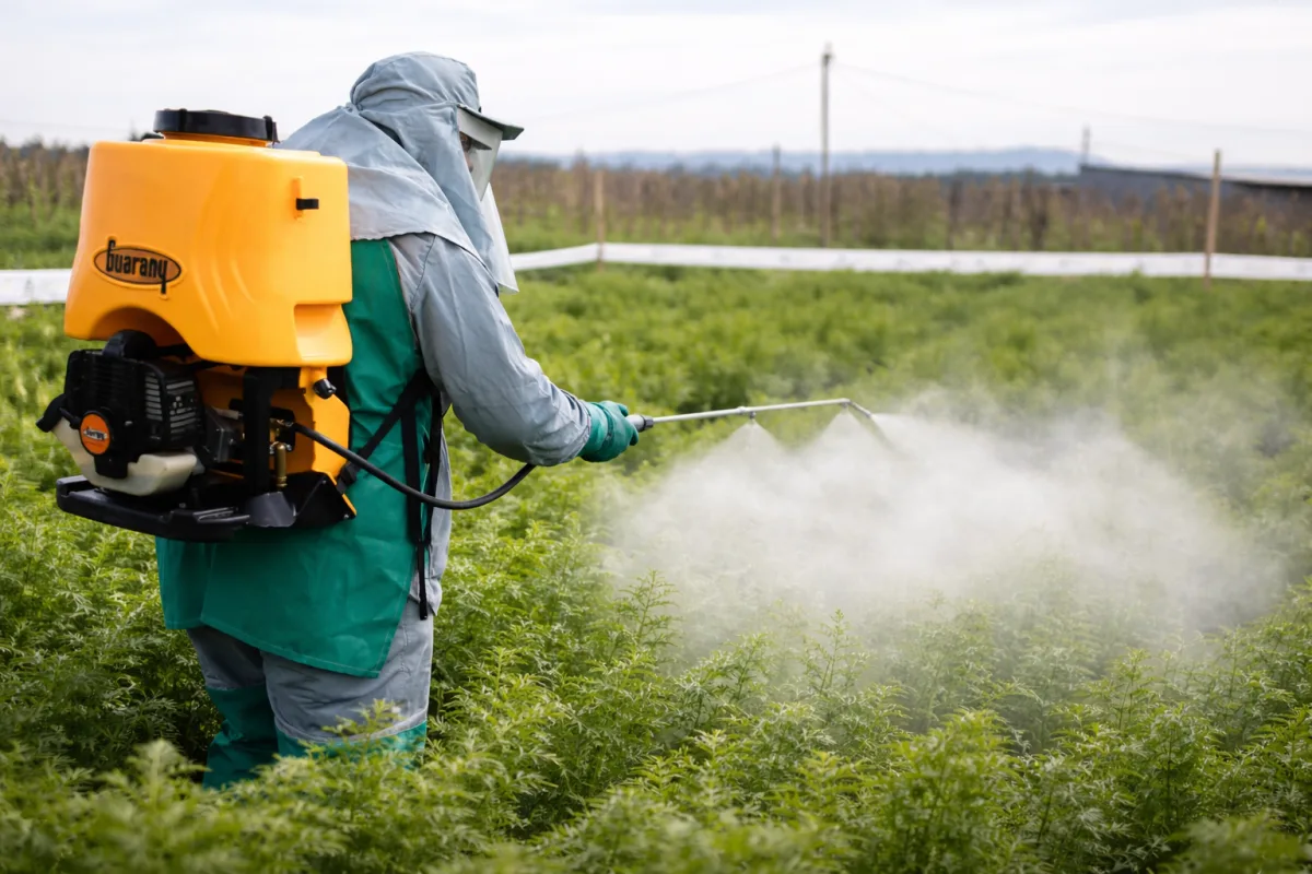 Foragro Company
Crop Protection, High-Performance Seeds, Crop Nutrition Crop Inputs & Growing Systems — Foragro Company