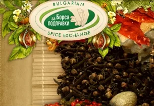 Spice Exchange Ltd